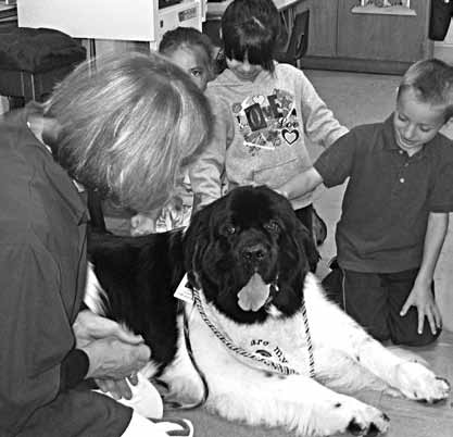 henry a therapy dog